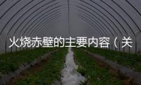 火燒赤壁的主要內(nèi)容（關(guān)于火燒赤壁的主要內(nèi)容的基本情況說明介紹）