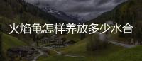 火焰龜怎樣養(yǎng)放多少水合適？火焰龜適合多少水溫