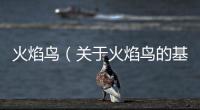 火焰鳥（關于火焰鳥的基本情況說明介紹）