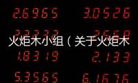 火炬木小組（關于火炬木小組的基本情況說明介紹）