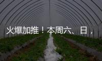 火爆加推！本周六、日，梅州日報讀者團帶你看海、踏浪、品海鮮