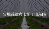 火爆菲律賓市場！山東臨工路演活動南北呼應搶抓機遇