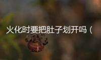 火化時(shí)要把肚子劃開(kāi)嗎（火化）