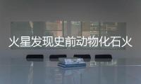 火星發(fā)現(xiàn)史前動物化石火星生命真容曝光?