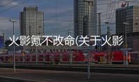 火影氪不改命(關于火影氪不改命簡述)