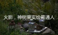 火影，神樹果實(shí)給普通人吃會(huì)怎么樣？