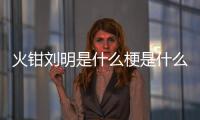 火鉗劉明是什么梗是什么意思（火鉗劉明什么梗）