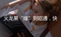 火龍果“嫁”到昭通，快來一睹芳顏！