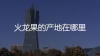 火龍果的產地在哪里