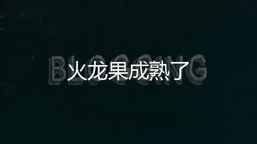 火龍果成熟了