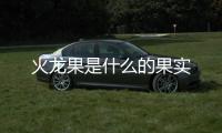 火龍果是什么的果實(shí)
