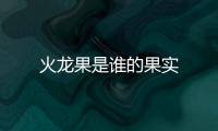 火龍果是誰的果實