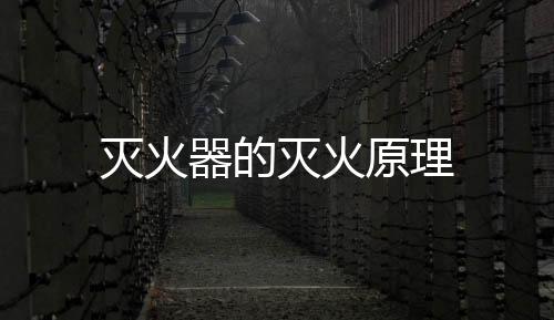 滅火器的滅火原理