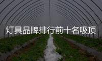 燈具品牌排行前十名吸頂燈（燈具品牌排行前十名）