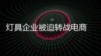 燈具企業(yè)被迫轉(zhuǎn)戰(zhàn)電商 商業(yè)目的不清晰