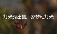 燈光秀出售廠家夢幻燈光節 雕塑安裝