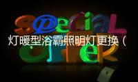 燈暖型浴霸照明燈更換（燈暖型浴霸）
