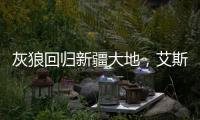 灰狼回歸新疆大地，艾斯卡爾新專輯即便出版