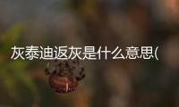 灰泰迪返灰是什么意思(泰迪落地灰是什么意思)