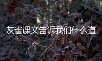 灰雀課文告訴我們什么道理 灰雀告訴我們什么道理