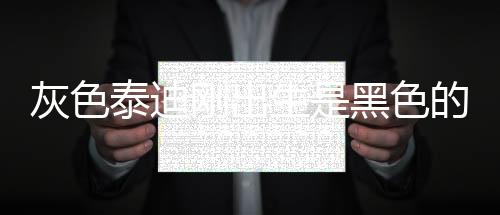 灰色泰迪剛出生是黑色的嗎？灰色泰迪剛出生是黑色正常嗎