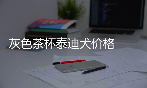 灰色茶杯泰迪犬價格  茶杯灰泰迪成年多少斤