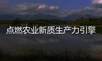 點燃農(nóng)業(yè)新質(zhì)生產(chǎn)力引擎 濰柴全系列低轉(zhuǎn)速收獲機液壓動力總成新品發(fā)布