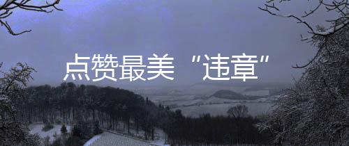 點(diǎn)贊最美“違章”
