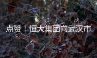 點贊！恒大集團向武漢市捐款2億人民幣：責任與擔當，滿滿正能量
