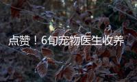 點贊！6旬寵物醫(yī)生收養(yǎng)流浪狗 怕被吃不送人