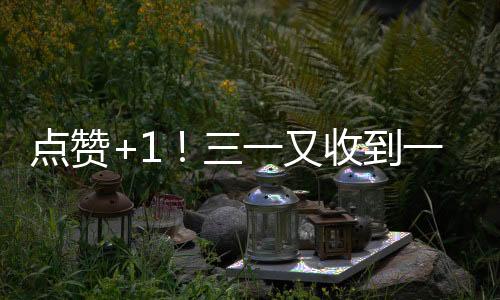 點贊+1！三一又收到一封感謝信！