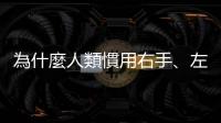 為什麼人類慣用右手、左眼比例占多數？