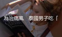 為治痛風　泰國男子吃「鯨魚嘔吐物」