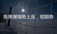 煉焦煤強勢上漲，短期勢頭難改!