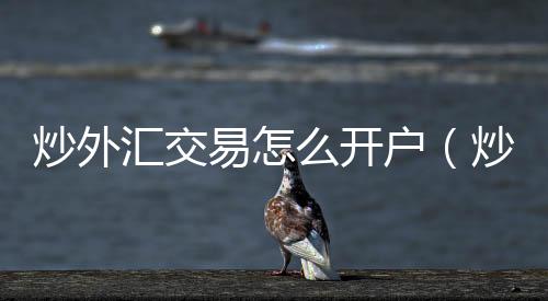 炒外匯交易怎么開戶（炒外匯如何開戶）