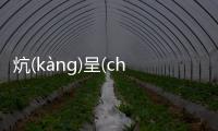 炕(kànɡ)呈(chénɡ)恥(chǐ)妒(dù)網友怎么看?