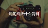 燉狗肉放什么調料