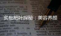 炙枇杷葉探秘：美容養(yǎng)顏的秘密解析