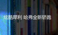 炫酷犀利 哈弗全新轎跑SUV H6S官圖曝光