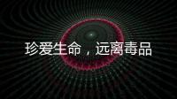 珍愛生命，遠(yuǎn)離毒品