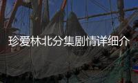 珍愛林北分集劇情詳細介紹1