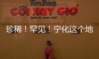 珍稀！罕見！寧化這個地方發現2000多株“幽靈之花”！