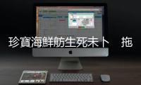 珍寶海鮮舫生死未卜　拖船明日返韓
