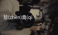珍(zhēn)禽(qín)異(yì)獸(shòu)背后的真相是什么?