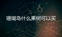 珊瑚島什么果樹可以買