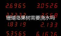 珊瑚島果樹需要澆水嗎