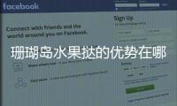 珊瑚島水果撻的優(yōu)勢在哪