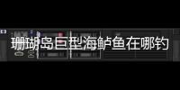 珊瑚島巨型海鱸魚在哪釣