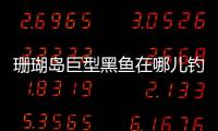 珊瑚島巨型黑魚在哪兒釣