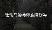 珊瑚島葡萄做酒賺錢嗎